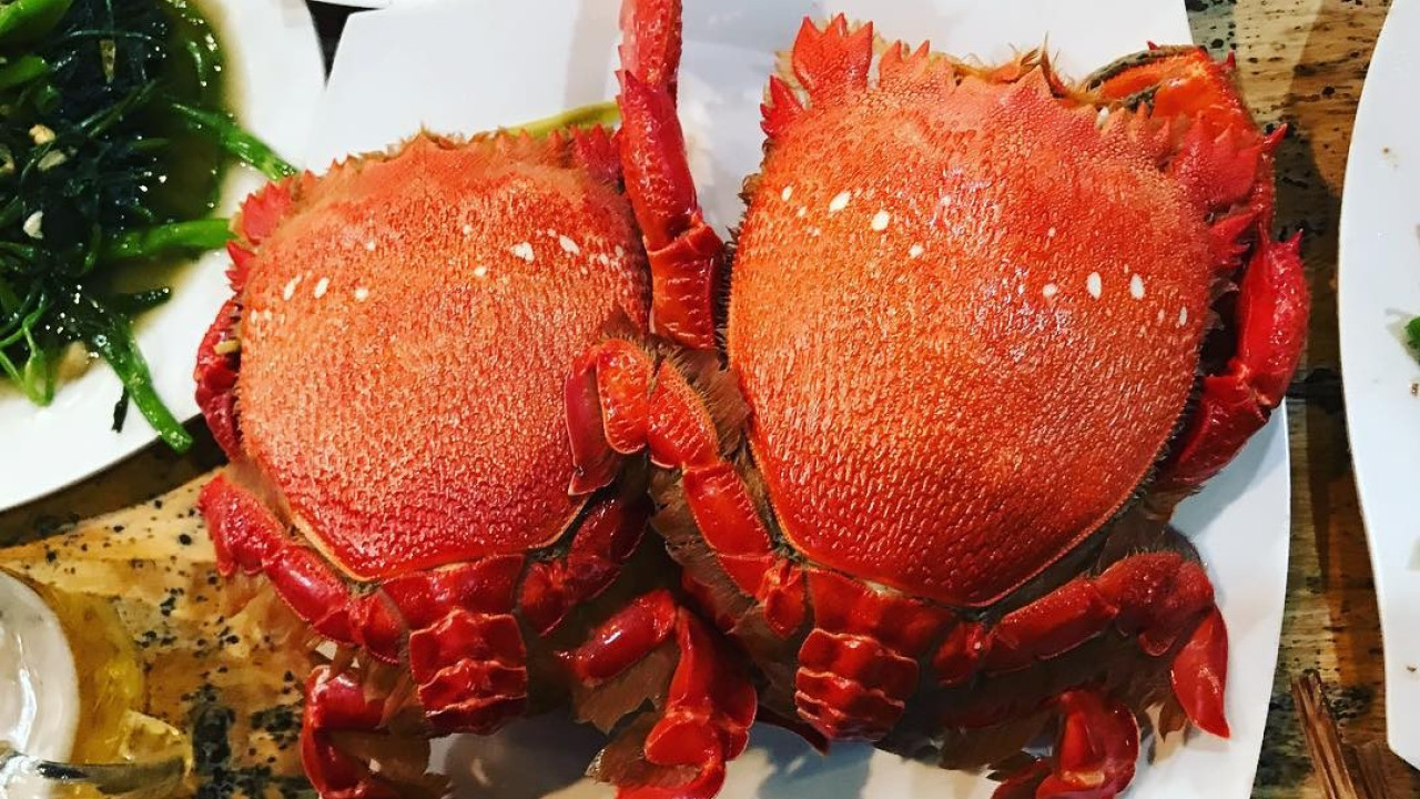 Du Lịch Lý Sơn - Hải Sản Tươi Ngon